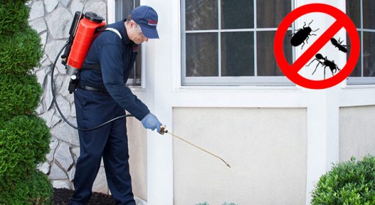 Evka 7 Sivrisinek İlaçlama böcek ilaçlama ve haşere kontrolü — ilaclama-tr.com